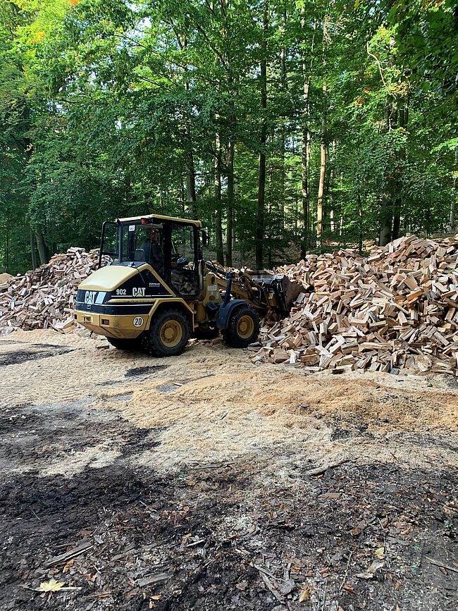 Foto Landkreis Börde / verkauft wird ofengerecht vorbereitetes Holz / zur Verladung steht ein Radlader bereit