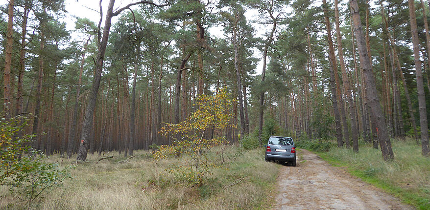 Landkreis Börde / (Foto) ein widerrechtlich im Wald abgestelltes Fahrzeug mit der Auspuffanlage direkt über extrem trockenem Grasbewuchs. Bei Trockenheit besteht eine hohe Waldbrandgefahr.